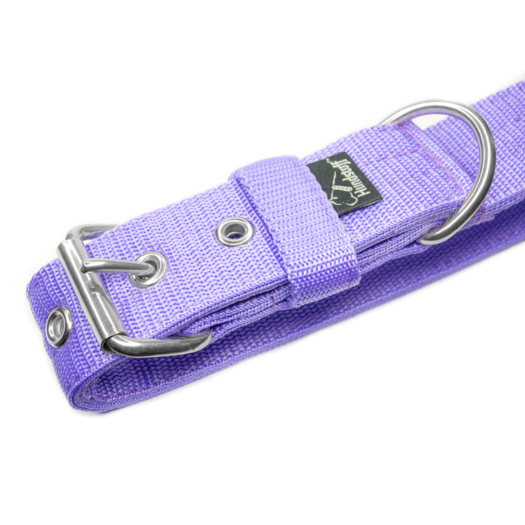 Active Baby Purple - Brett slitstarkt halsband med spänne
