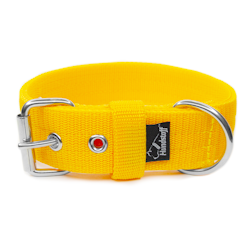 Active Yellow 4cm wide yellow dog collar
