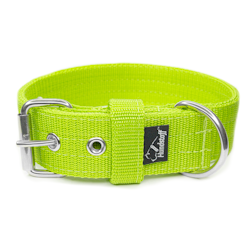 Active Lime 4cm wide lime-colored dog collar