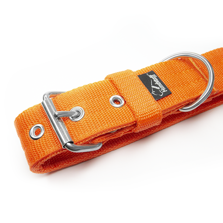 Active Orange 4cm wide orange dog collar