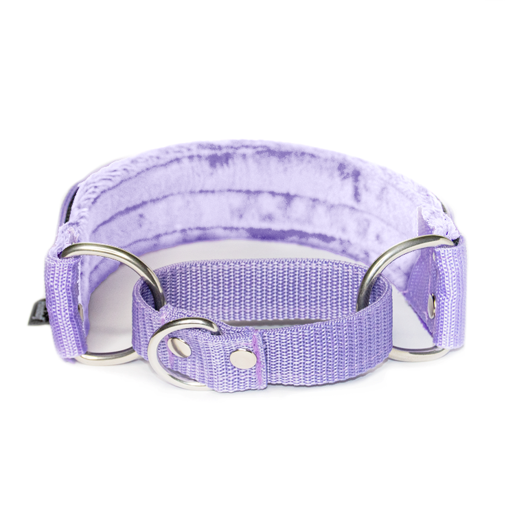 Martingale Baby Purple - Brett fodrat halsband halvstryp