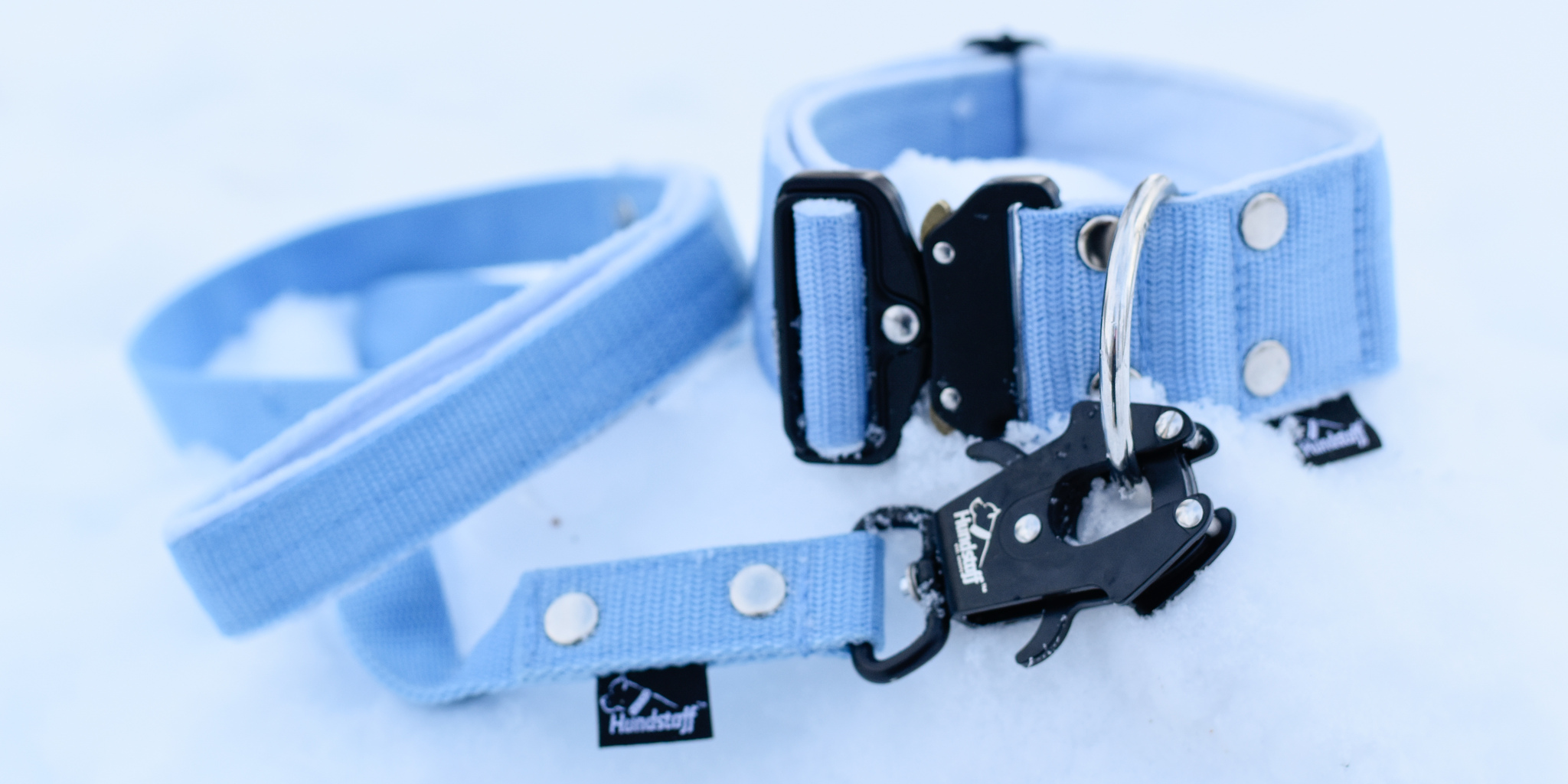 Extreme Buckle Baby blue- halsband med svart spänne