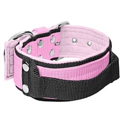Grip Baby Pink - 5cm wide light pink dog collar with handle