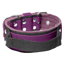Grip Plum - 5cm wide plum colored dog collar with handle