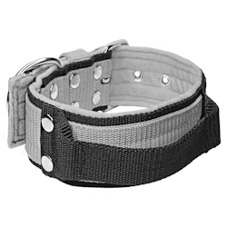 Grip Gray - 5cm wide gray dog collar with handle