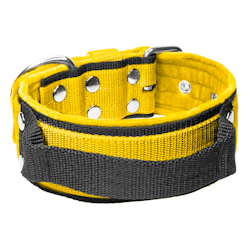 Grip Yellow - wide yellow dog collar with handle