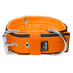 Grip Orange - wide dog collar with handle