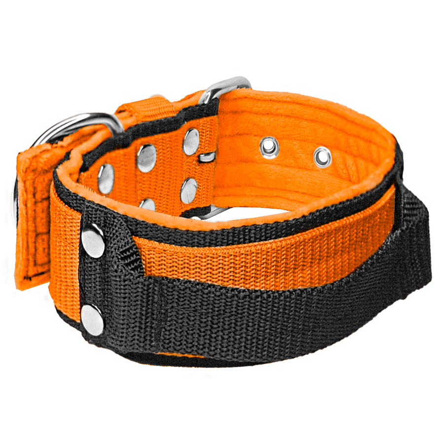 Grip Orange - brett hundhalsband med handtag