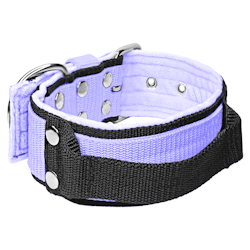 Grip Baby Purple - 5cm wide light purple dog collar with handle