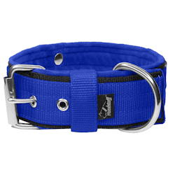 Grip Blue - brett blått hundhalsband med handtag