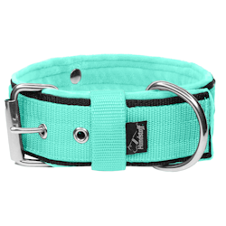 Grip Mint - wide mint dog collar with handle