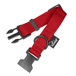 Little Red - red dog collar