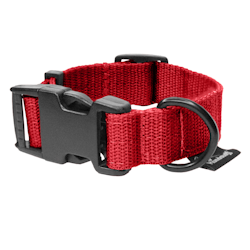 Little Red - red dog collar