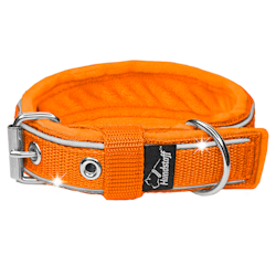 Energetic Safe Orange - Fodrat reflexhalsband till mindre hundar