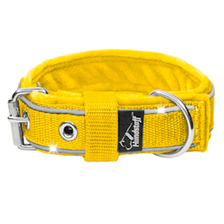 Energetic Safe Gult- Fodrat reflexhalsband till mindre hundar