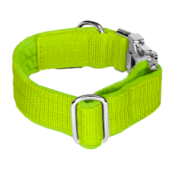Easy Clip Lime - Reglerbart halsband med knäppspänne