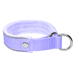 Martingale Pocket Baby Purple - Fodrat halsband halvstryp med reflex