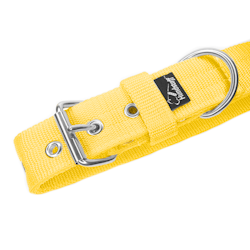 Active Baby Yellow wide yellow dog collar