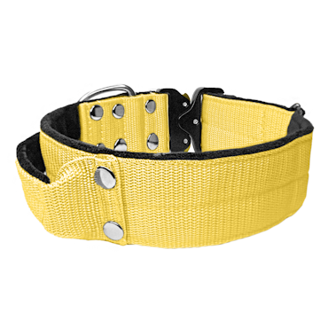Extreme Buckle Baby Yellow - Starkt och säkert halsband