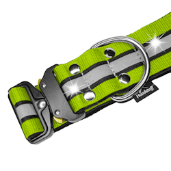 Extreme Buckle Reflex Lime