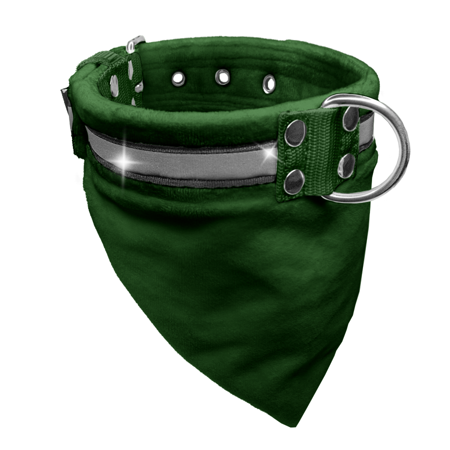 Bandana Collar Forest Green - halsband med bandana och reflex