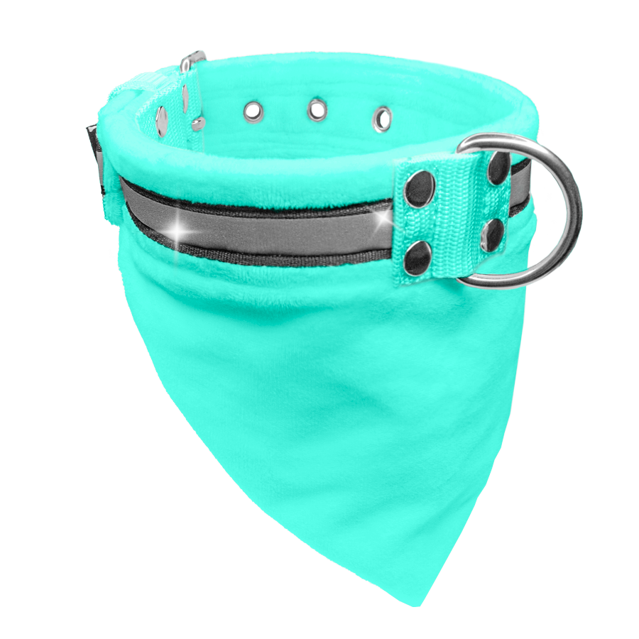 Bandana Collar Mint - halsband med bandana och reflex