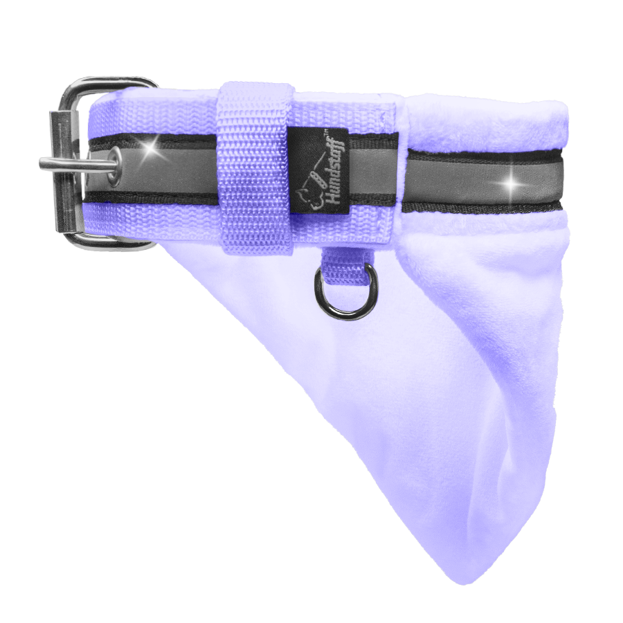 Bandana Collar Baby Purple - halsband med bandana och reflex