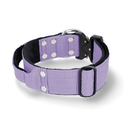 Extreme Buckle Baby Purple - Starkt och säkert halsband
