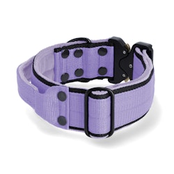 Extreme Buckle Black Edition Baby Purple - Starkt och säkert halsband