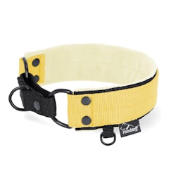 Martingale Black Edition Baby Yellow - Brett fodrat halsband halvstryp