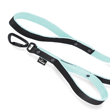 Guard Leash Black Edition Mint - Guard leash with extra handle