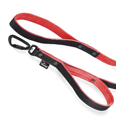 Guard Leash Black Edition Red - Guard leash with extra handle