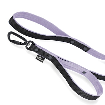 Guard Leash Black Edition Baby Purple - Guard leash with extra handle