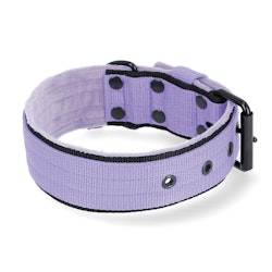 Active Komfort Black Edition Baby Purple - Brett slitstarkt halsband med spänne