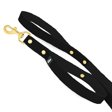 Guard Leash Golden Edition Black - Guard leash with extra handle