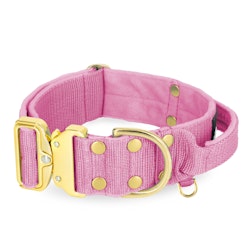 Extreme Gold Buckle Candy Pink - Starkt och säkert halsband