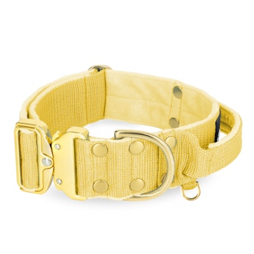 Extreme Gold Buckle Gold Yellow - Strong and secure necklace