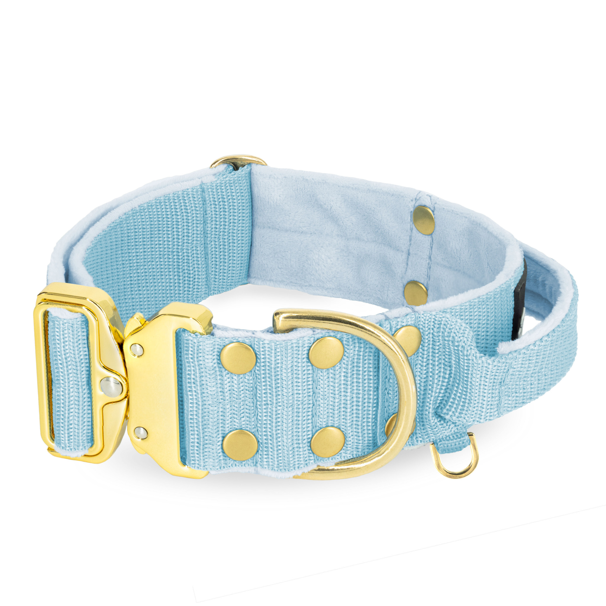 Extreme Gold Buckle Baby Blue - Starkt och säkert halsband