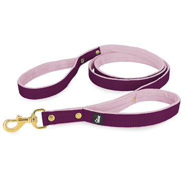 Guard Leash Golden Edition Plum - Guard leash with extra handle