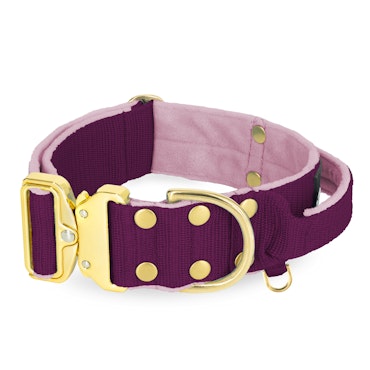 Extreme Gold Buckle Plum - Strong and secure necklace