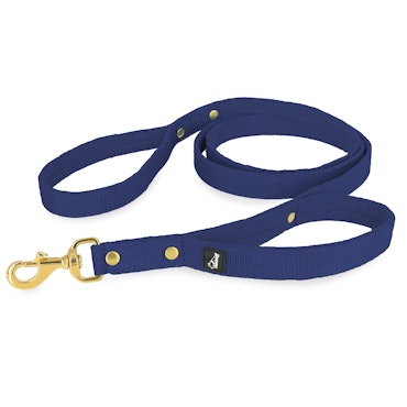 Guard Leash Golden Edition Navy Blue - Guard leash with extra handle