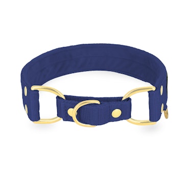 Martingale Golden Navy Blue - Brett fodrat halsband halvstryp