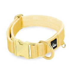 Easy Clip Golden Gold Yellow - Reglerbart halsband med knäppspänne