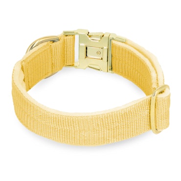 Easy Clip Golden Gold Yellow - Reglerbart halsband med knäppspänne