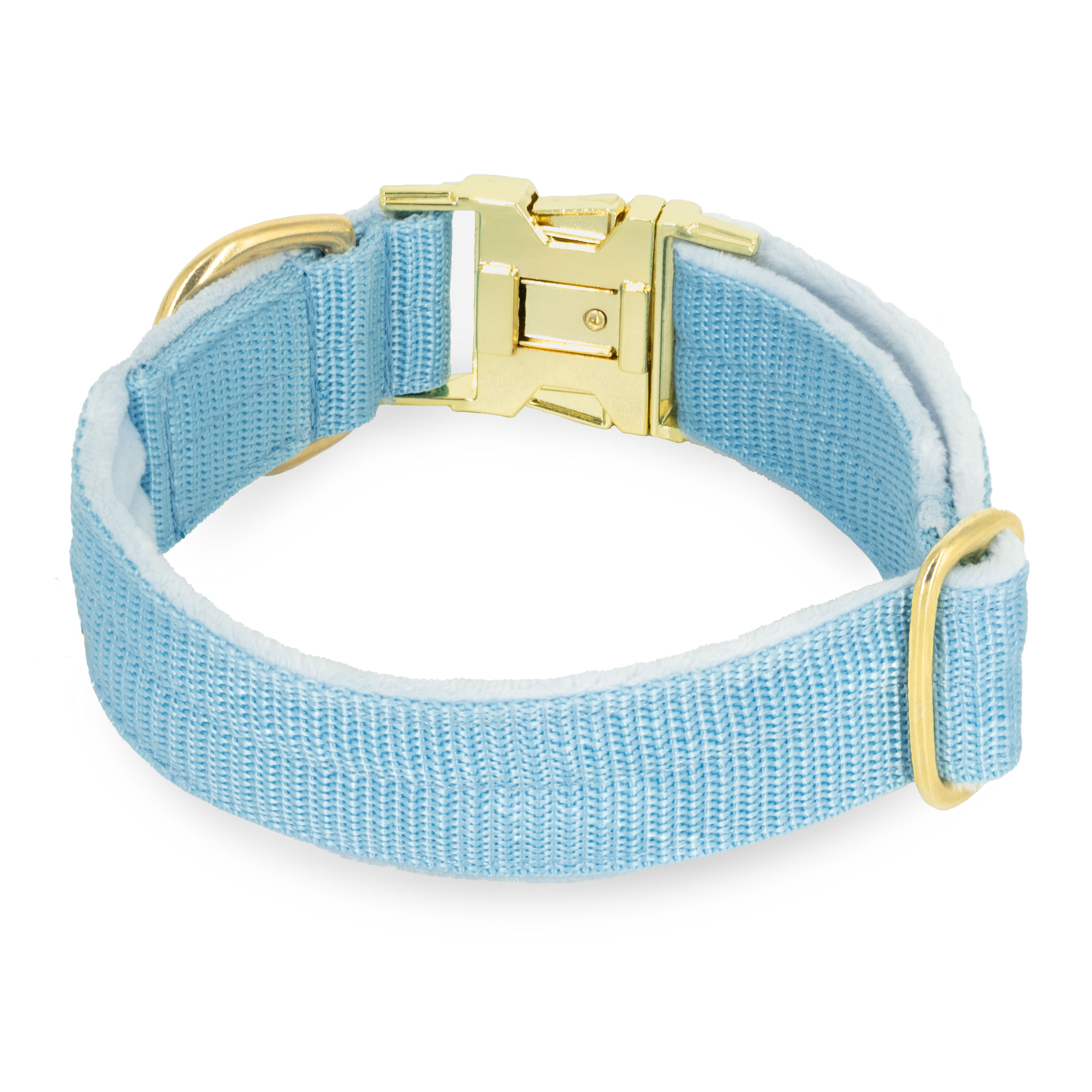 Easy Clip Golden Baby Blue - Reglerbart halsband med knäppspänne