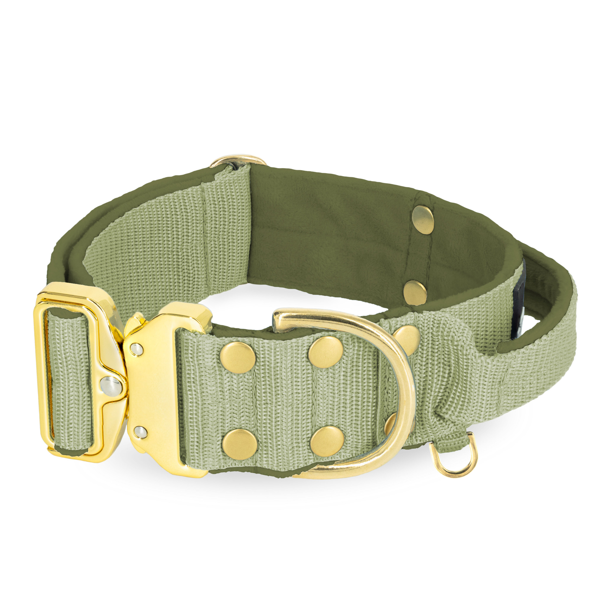 Extreme Gold Buckle Olive Green  - Starkt och säkert halsband