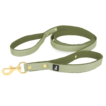 Guard Leash Golden Edition Olive Green - Guard leash with extra handle