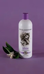 #1 All Systems Self Rinse Conditioning Shampoo