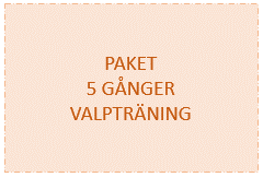 KINDERGARTEN Strängnäs paket 5 ggr