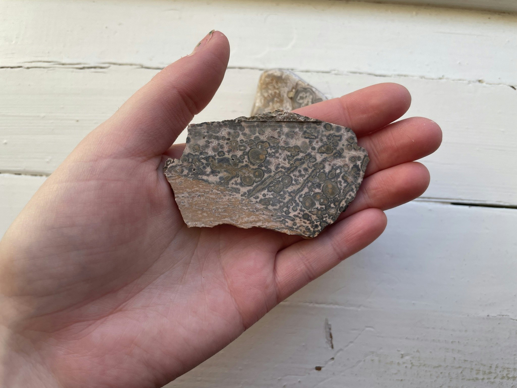Crazy Lace Agat